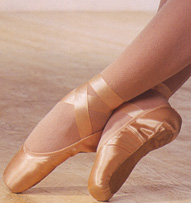 La Pasion por la DANZA...
